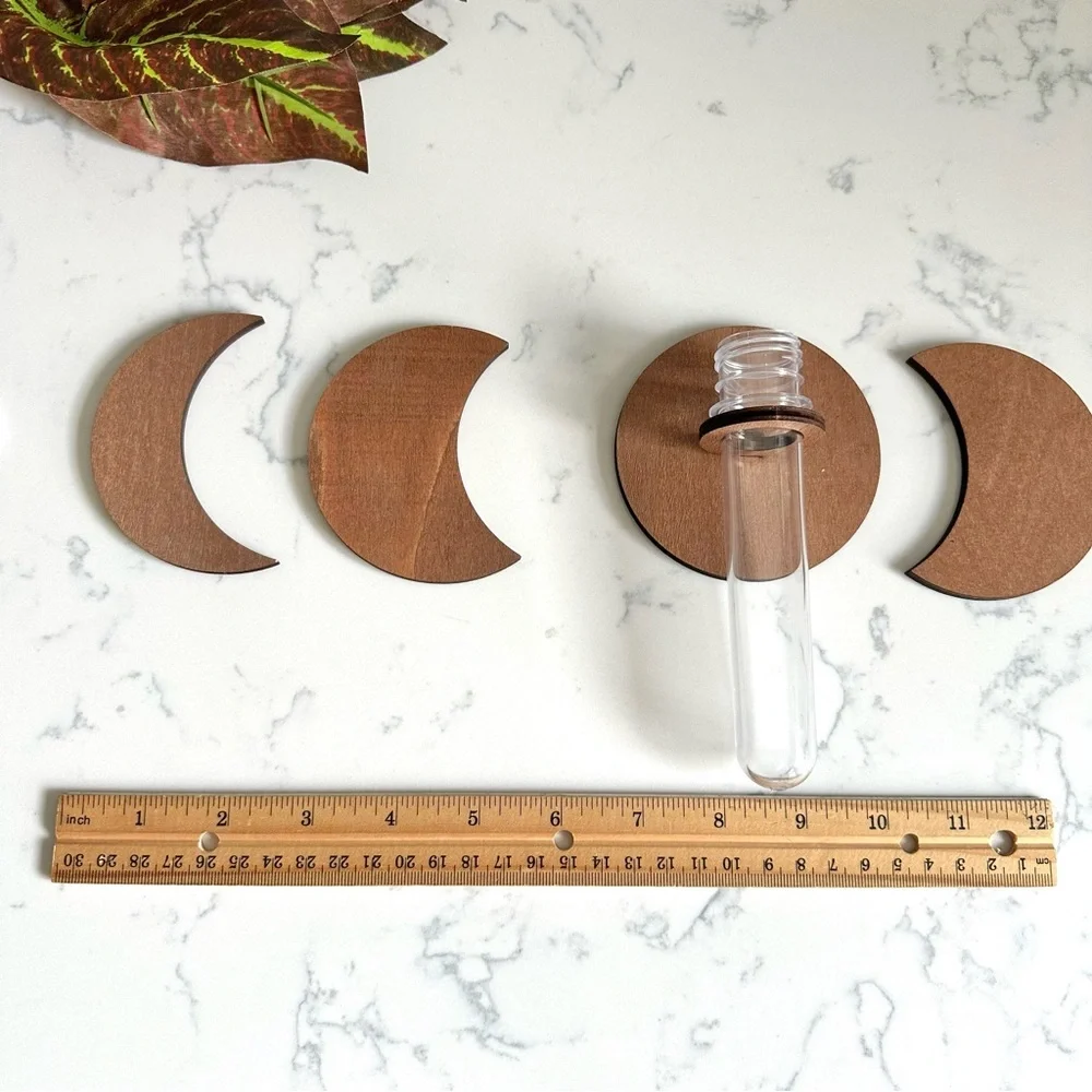 Moon Phase Hanging Plant Propagation Test Tube Station Gift Wall Decor Vase Boho